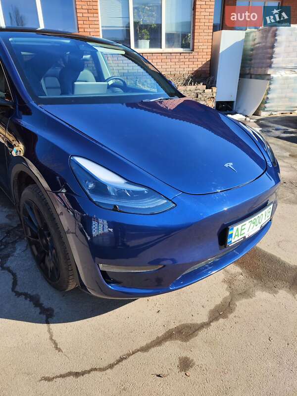 Внедорожник / Кроссовер Tesla Model Y 2022 в Кривом Роге