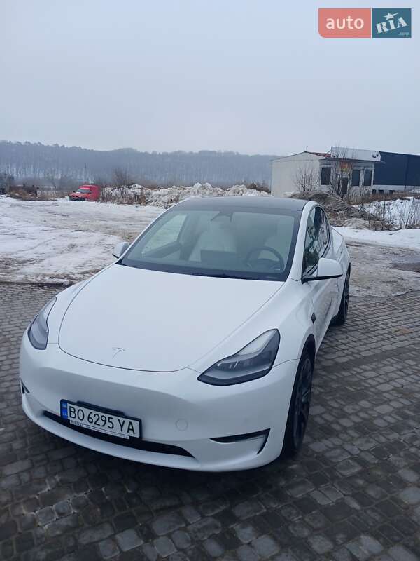 Позашляховик / Кросовер Tesla Model Y 2021 в Теребовлі