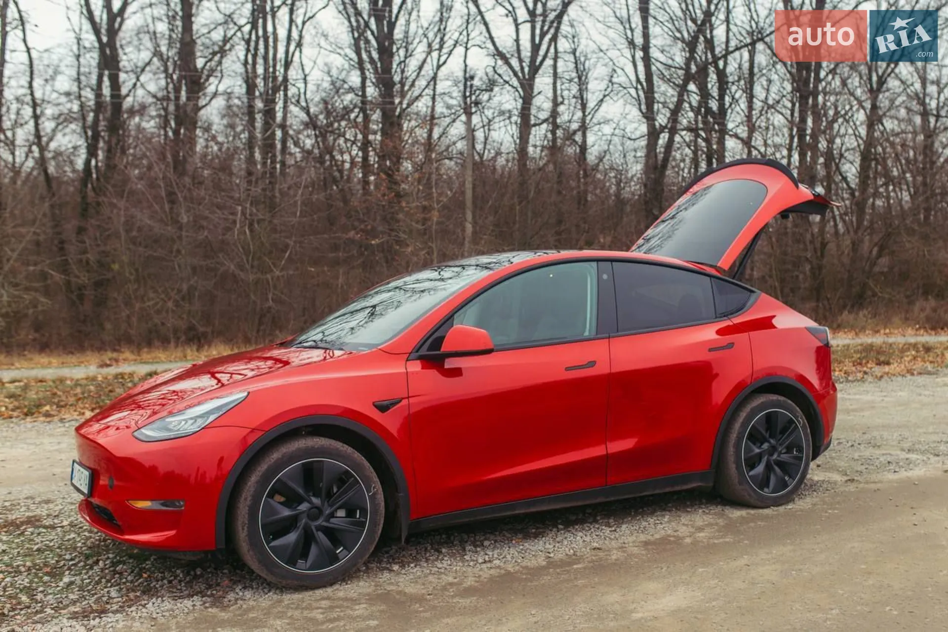 2020 Tesla Model Y - мініатюра 71