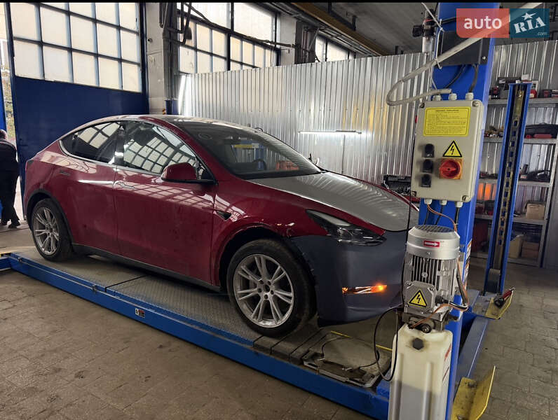 Позашляховик / Кросовер Tesla Model Y 2023 в Львові