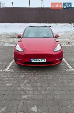 Внедорожник / Кроссовер Tesla Model Y 2021 в Тернополе