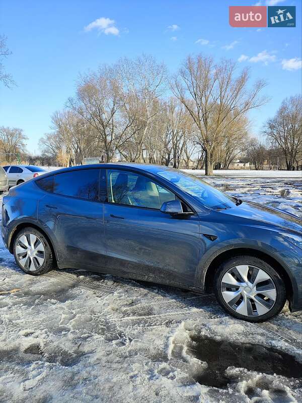 Внедорожник / Кроссовер Tesla Model Y 2023 в Борисполе