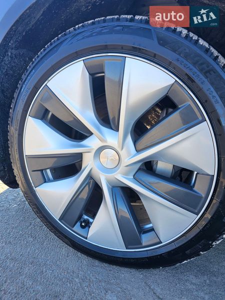 Позашляховик / Кросовер Tesla Model Y 2021 в Тернополі