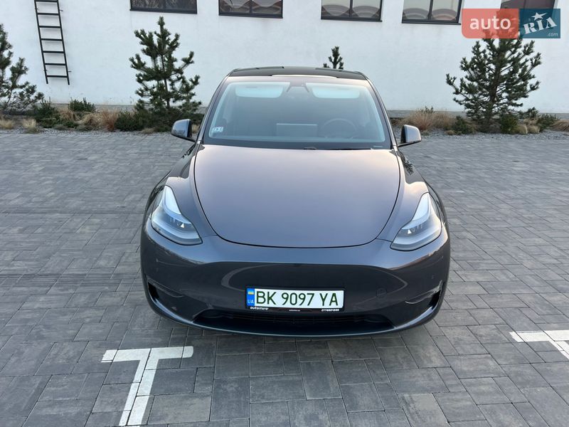 Внедорожник / Кроссовер Tesla Model Y 2020 в Луцке