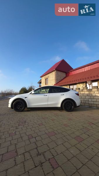 Внедорожник / Кроссовер Tesla Model Y 2020 в Золочеве
