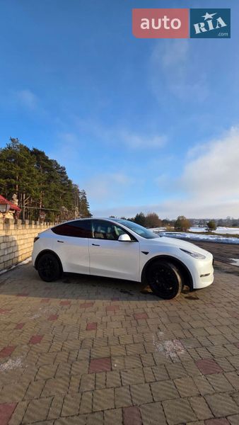 Внедорожник / Кроссовер Tesla Model Y 2020 в Золочеве