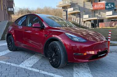Позашляховик / Кросовер Tesla Model Y 2024 в Львові