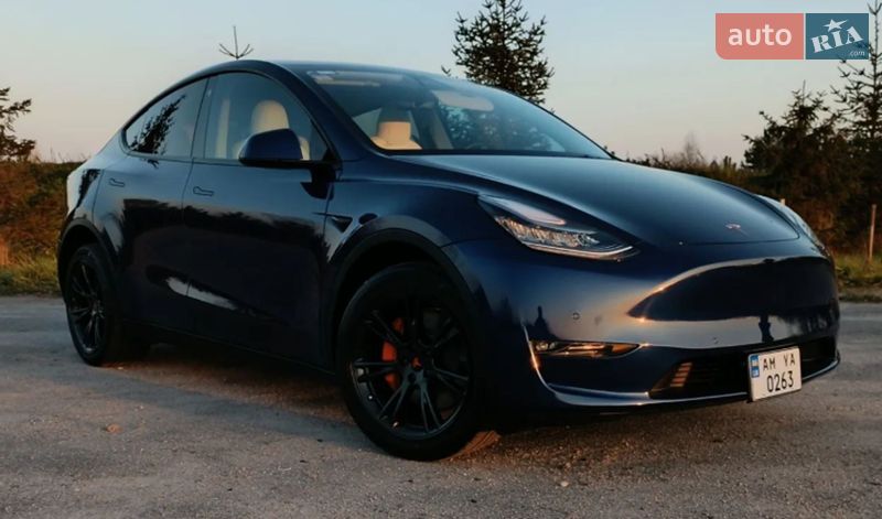 Внедорожник / Кроссовер Tesla Model Y 2021 в Житомире