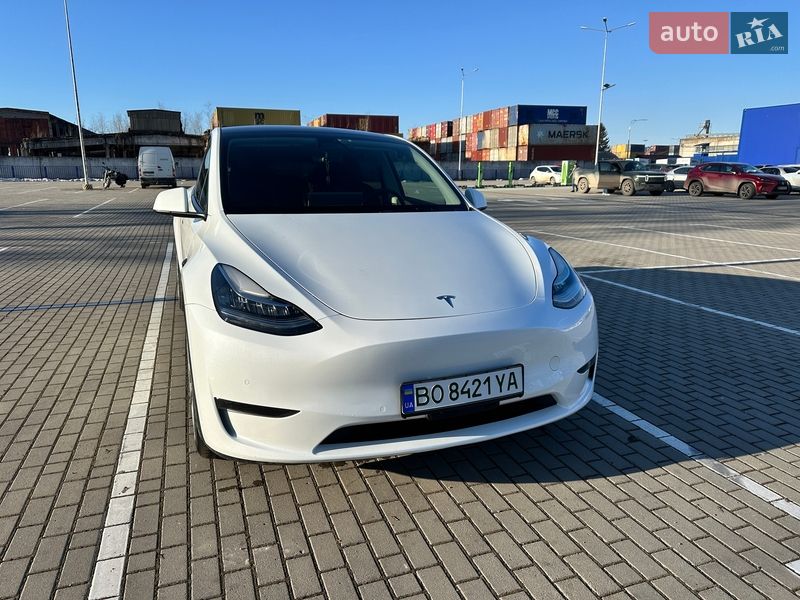 Позашляховик / Кросовер Tesla Model Y 2022 в Тернополі