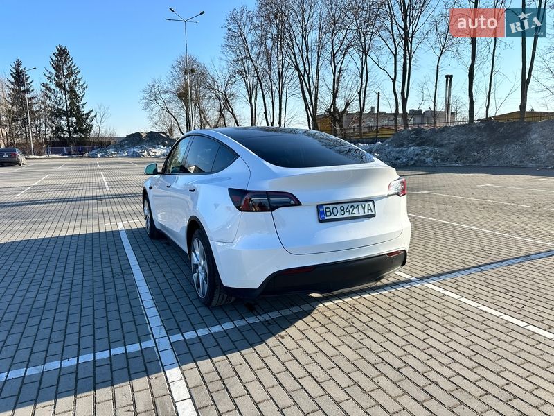 Позашляховик / Кросовер Tesla Model Y 2022 в Тернополі