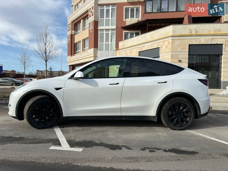 Внедорожник / Кроссовер Tesla Model Y 2020 в Умани