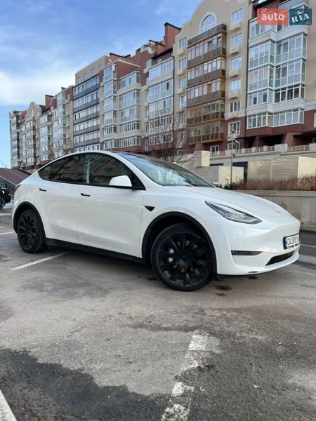 Внедорожник / Кроссовер Tesla Model Y 2020 в Умани