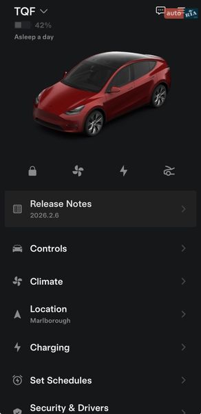 Позашляховик / Кросовер Tesla Model Y 2021 в Дніпрі