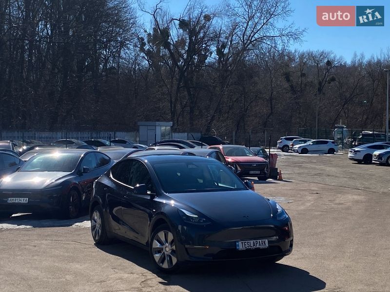 Позашляховик / Кросовер Tesla Model Y 2024 в Києві