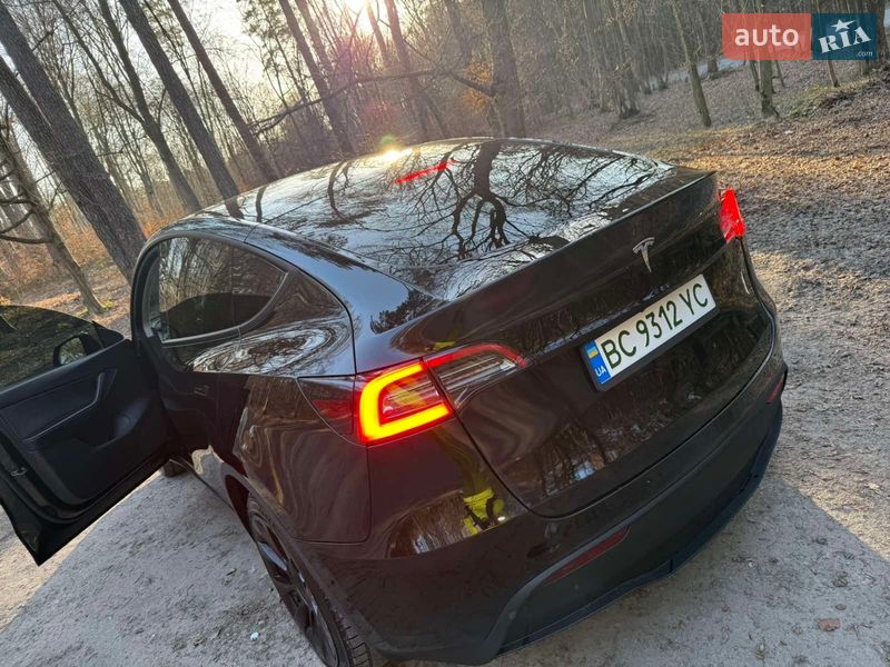 Внедорожник / Кроссовер Tesla Model Y 2020 в Львове фото 6 Внедорожник / Кроссовер Tesla Model Y 2020 в Львове