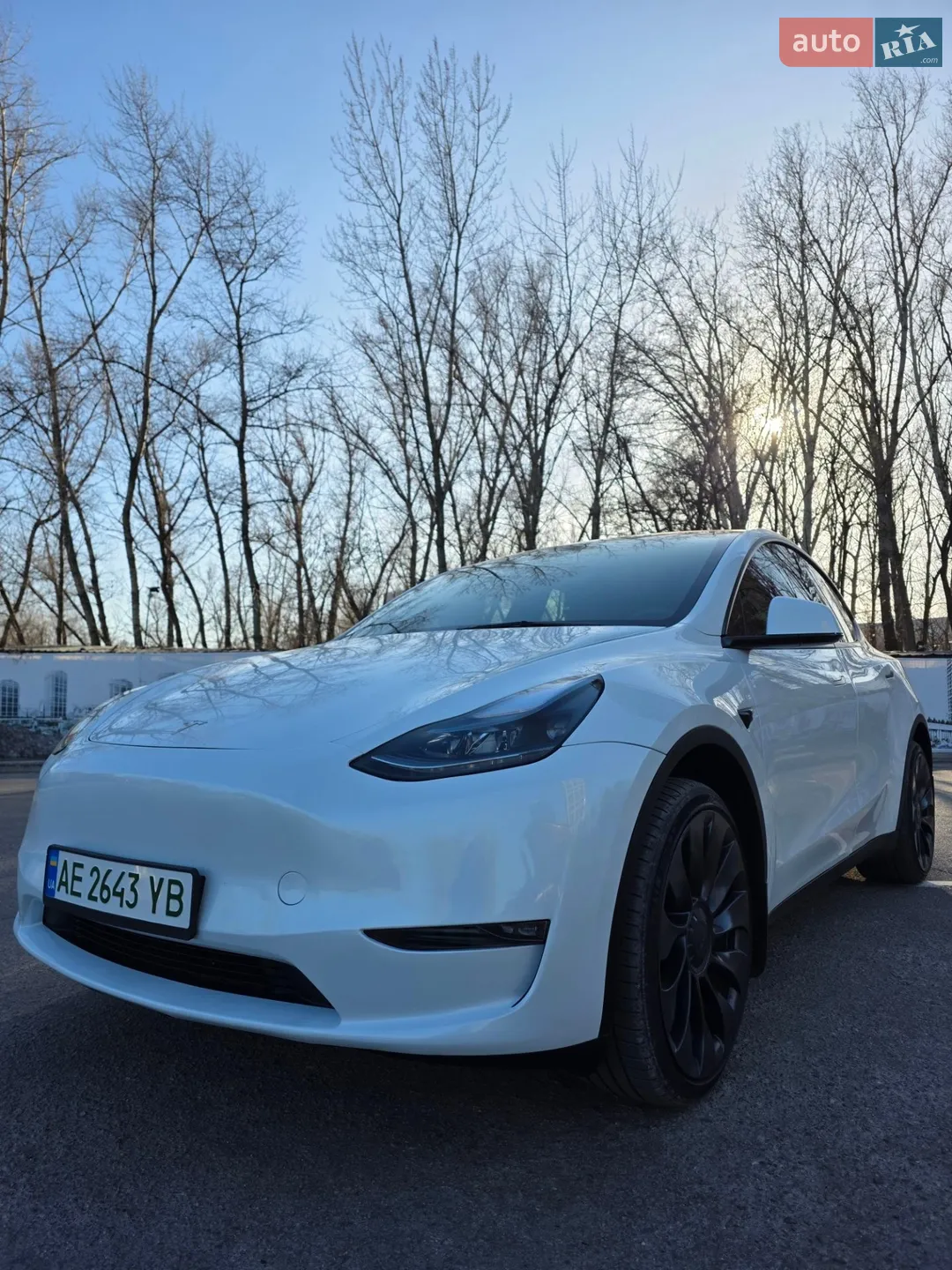 2023 Tesla Model Y - мініатюра 12