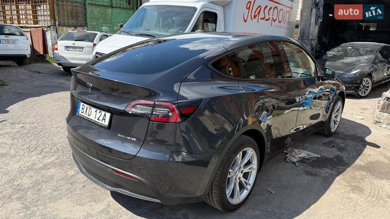 Позашляховик / Кросовер Tesla Model Y 2024 в Броварах