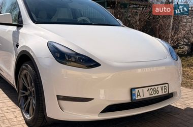 Позашляховик / Кросовер Tesla Model Y 2024 в Фастові