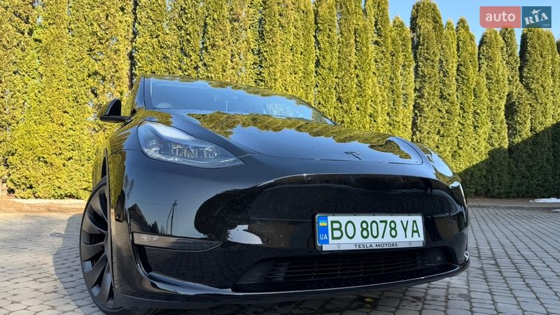 Позашляховик / Кросовер Tesla Model Y 2024 в Тернополі