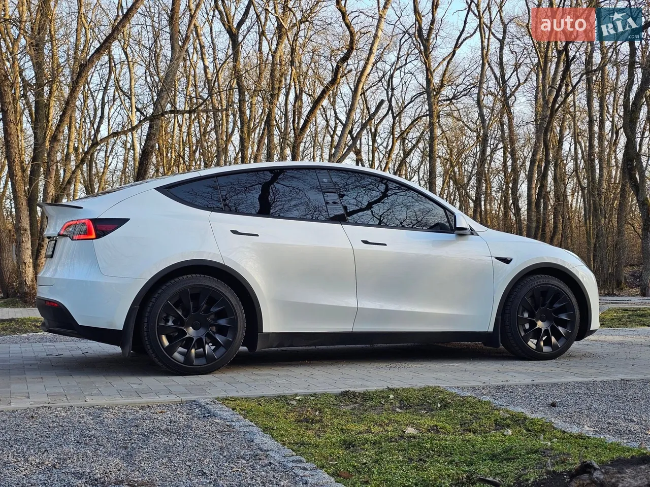 2023 Tesla Model Y - мініатюра 39