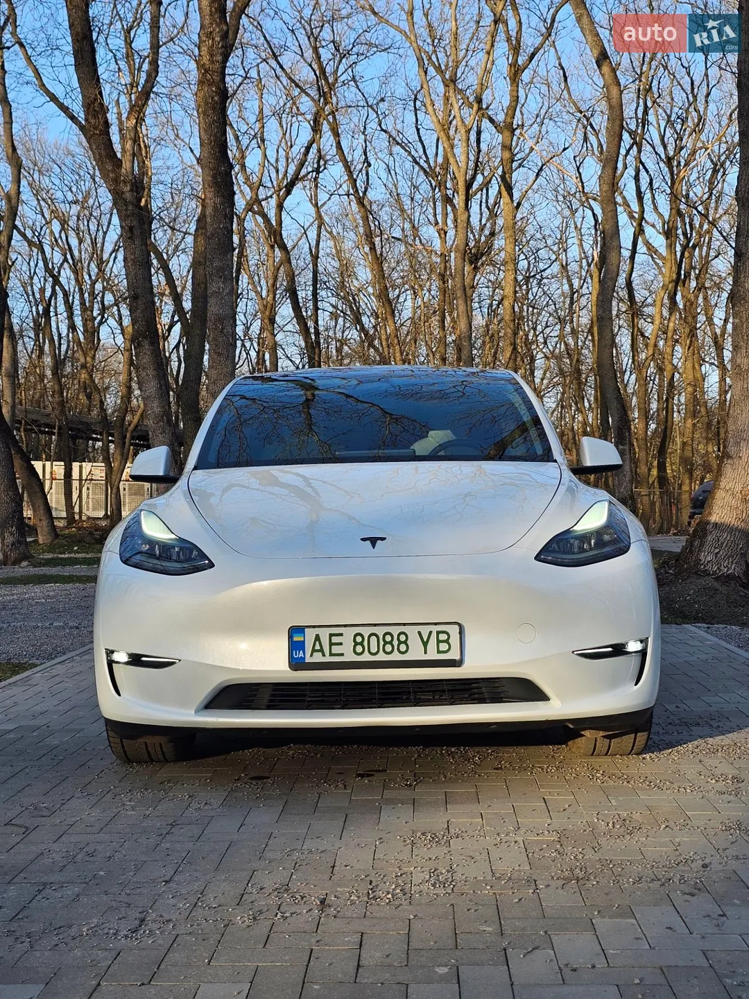 2023 Tesla Model Y - мініатюра 38