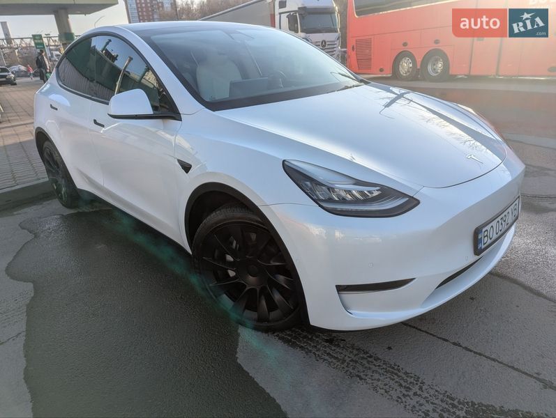 Внедорожник / Кроссовер Tesla Model Y 2021 в Тернополе