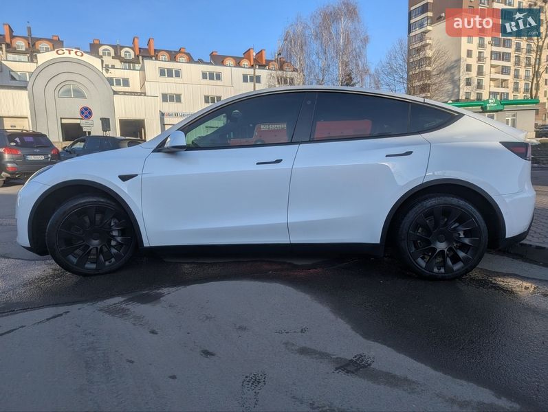 Внедорожник / Кроссовер Tesla Model Y 2021 в Тернополе
