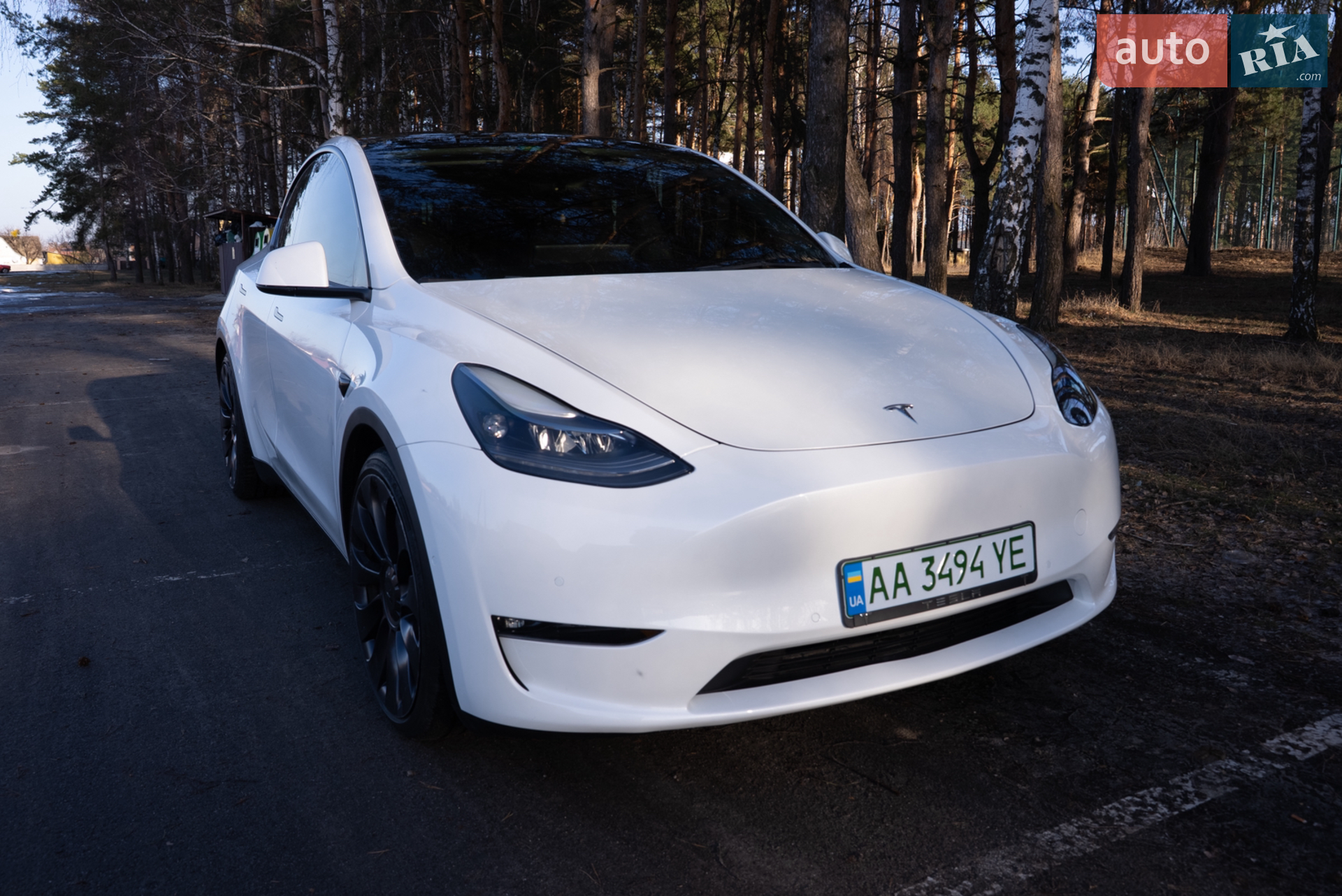 2021 Tesla Model Y - мініатюра 7