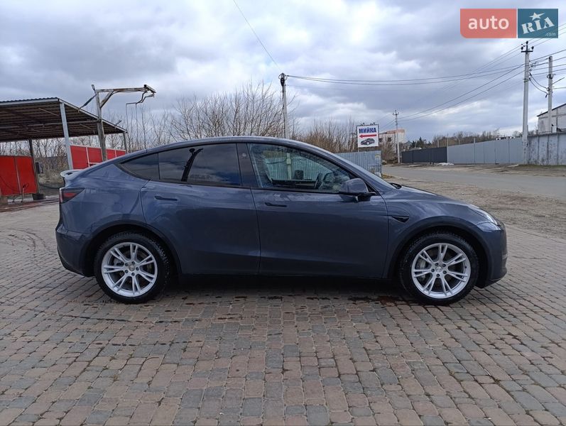 Внедорожник / Кроссовер Tesla Model Y 2023 в Борисполе