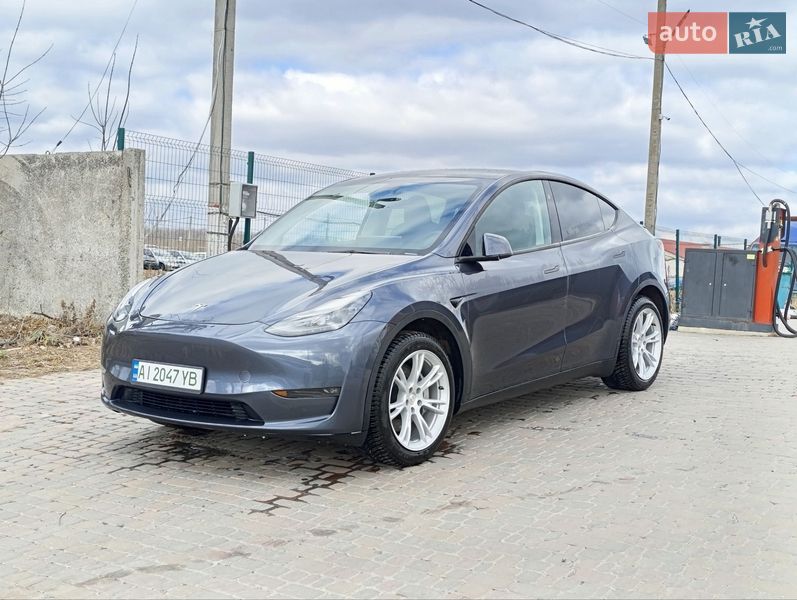 Внедорожник / Кроссовер Tesla Model Y 2023 в Борисполе