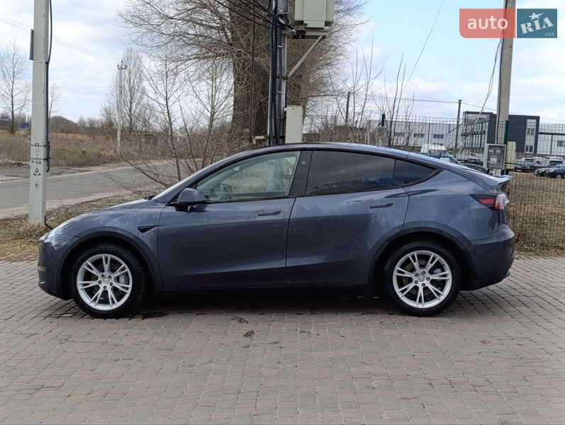 Внедорожник / Кроссовер Tesla Model Y 2023 в Борисполе