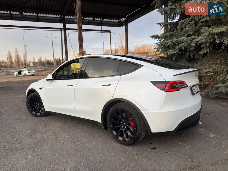 Позашляховик / Кросовер Tesla Model Y 2021 в Кривому Розі