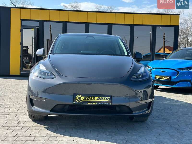 Позашляховик / Кросовер Tesla Model Y 2023 в Шептицькому фото 2 Позашляховик / Кросовер Tesla Model Y 2023 в Шептицькому