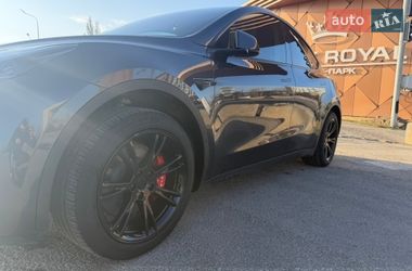Внедорожник / Кроссовер Tesla Model Y 2024 в Буче