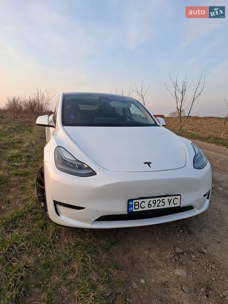 Внедорожник / Кроссовер Tesla Model Y 2023 в Львове