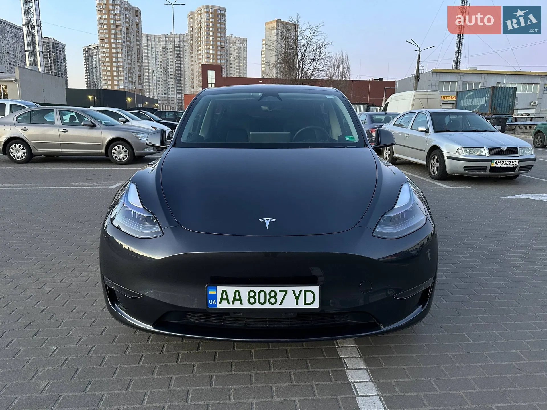 2024 Tesla Model Y - фото 1