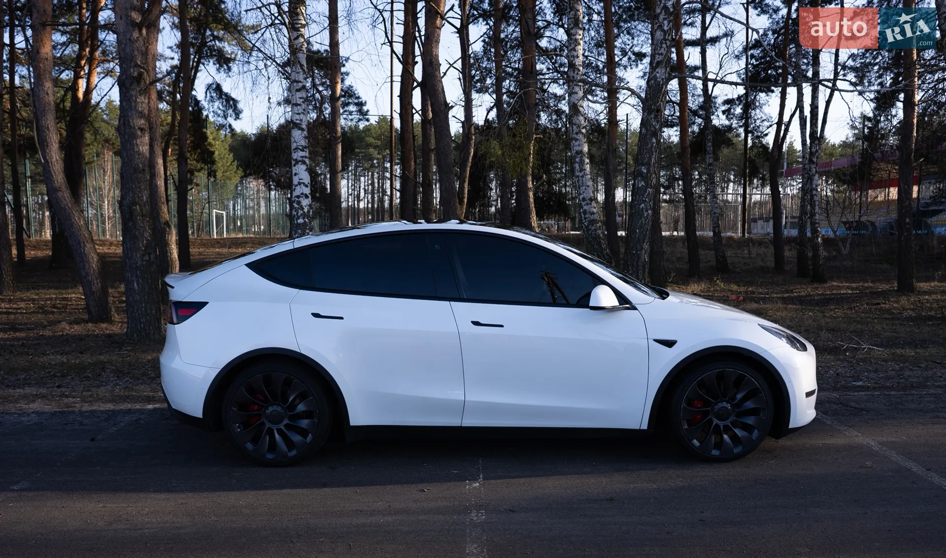 2021 Tesla Model Y - мініатюра 4