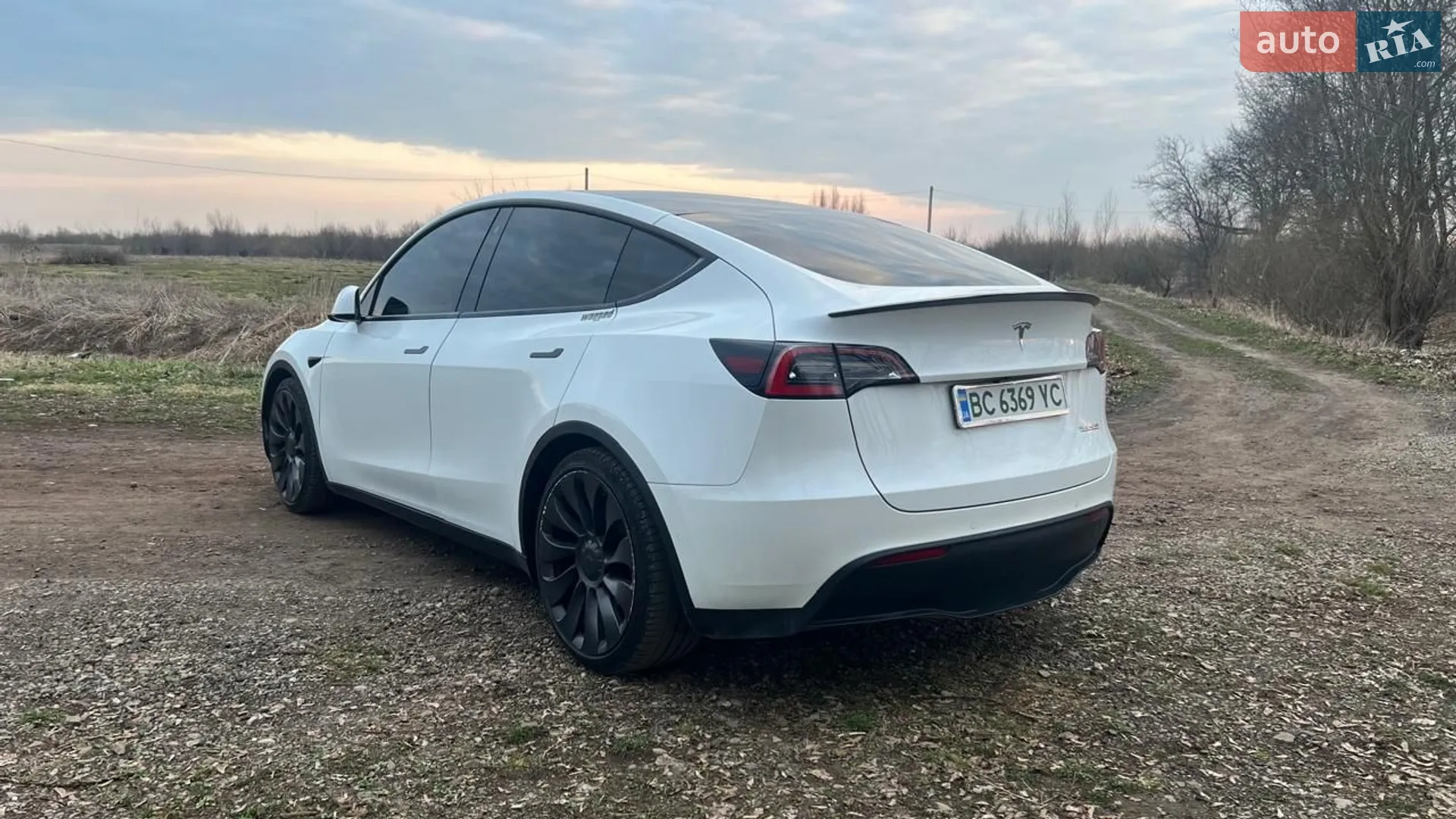 2020 Tesla Model Y - мініатюра 2