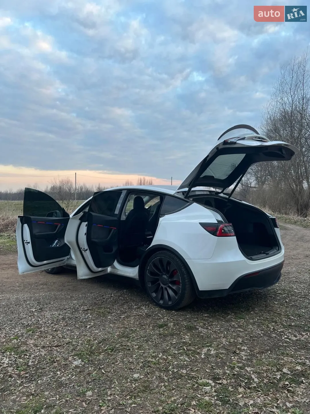 2020 Tesla Model Y - мініатюра 11