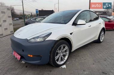 Внедорожник / Кроссовер Tesla Model Y 2023 в Луцке