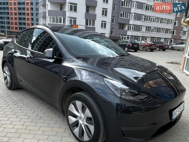 Внедорожник / Кроссовер Tesla Model Y 2024 в Тернополе фото Внедорожник / Кроссовер Tesla Model Y 2024 в Тернополе