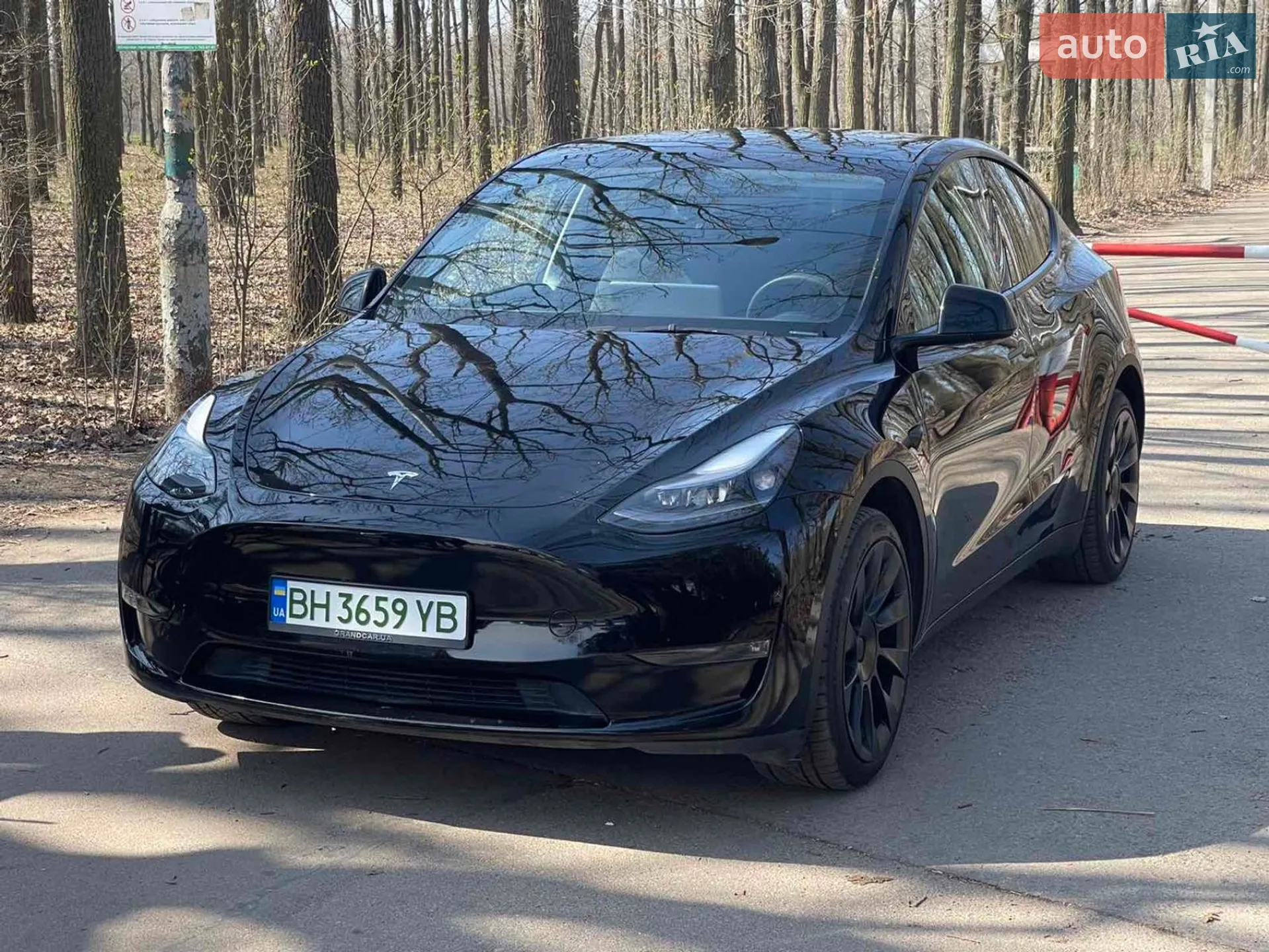 2023 Tesla Model Y - мініатюра 5