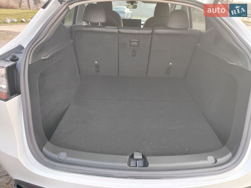 Внедорожник / Кроссовер Tesla Model Y 2024 в Белой Церкви фото 21 Внедорожник / Кроссовер Tesla Model Y 2024 в Белой Церкви