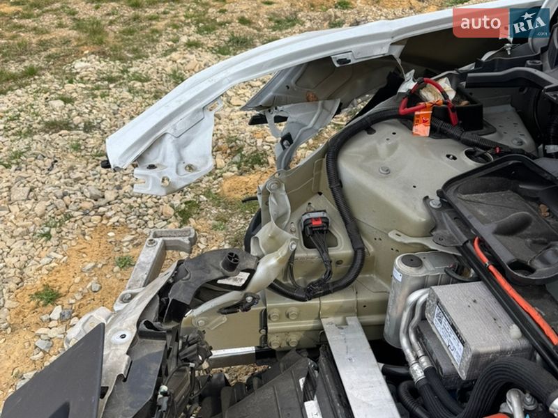 Позашляховик / Кросовер Tesla Model Y 2023 в Самборі фото 14 Позашляховик / Кросовер Tesla Model Y 2023 в Самборі