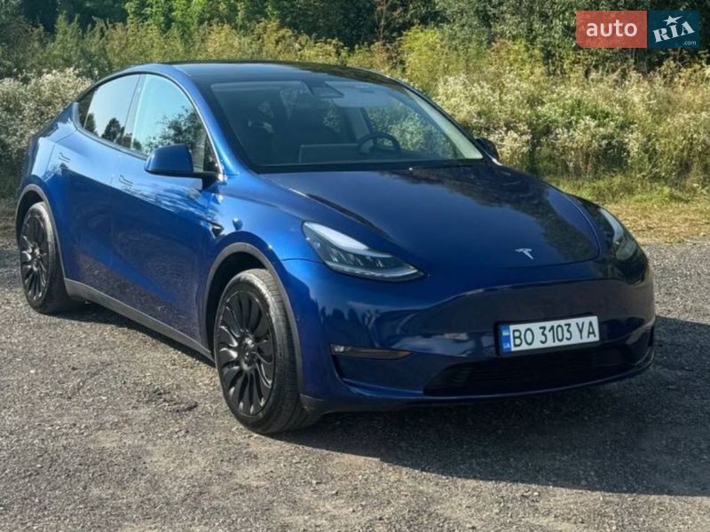Позашляховик / Кросовер Tesla Model Y 2021 в Львові фото 2 Позашляховик / Кросовер Tesla Model Y 2021 в Львові