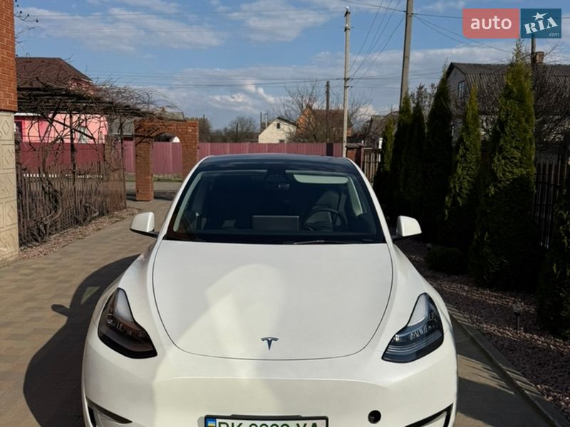 Внедорожник / Кроссовер Tesla Model Y 2021 в Владимирце