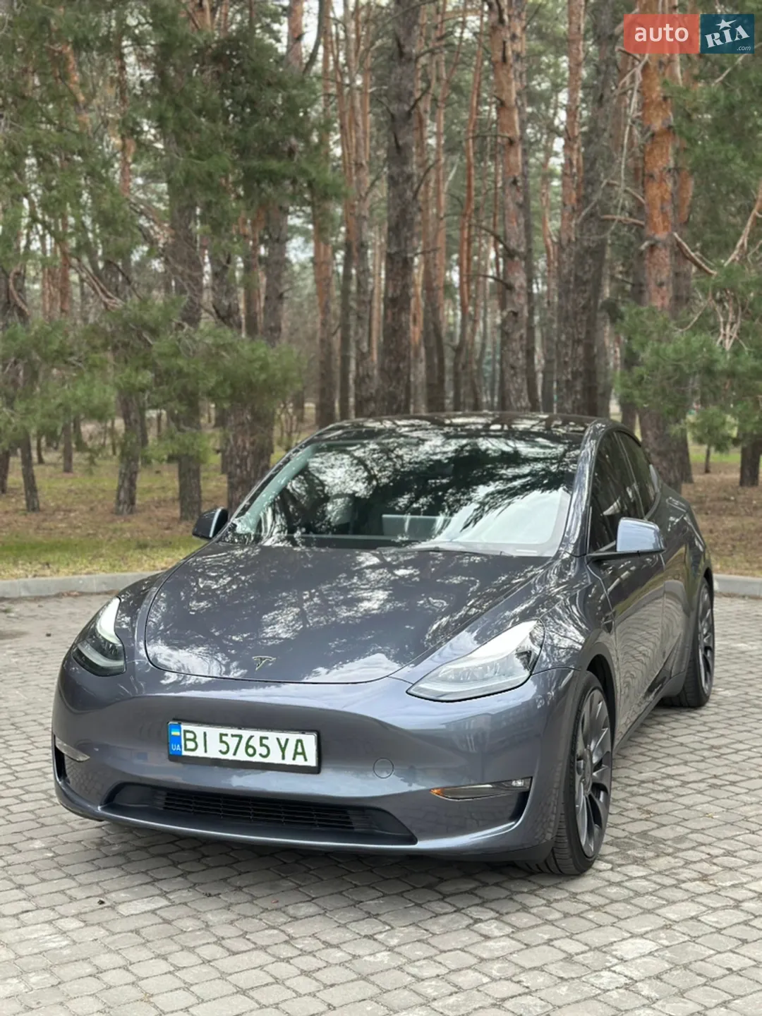 2023 Tesla Model Y - мініатюра 5