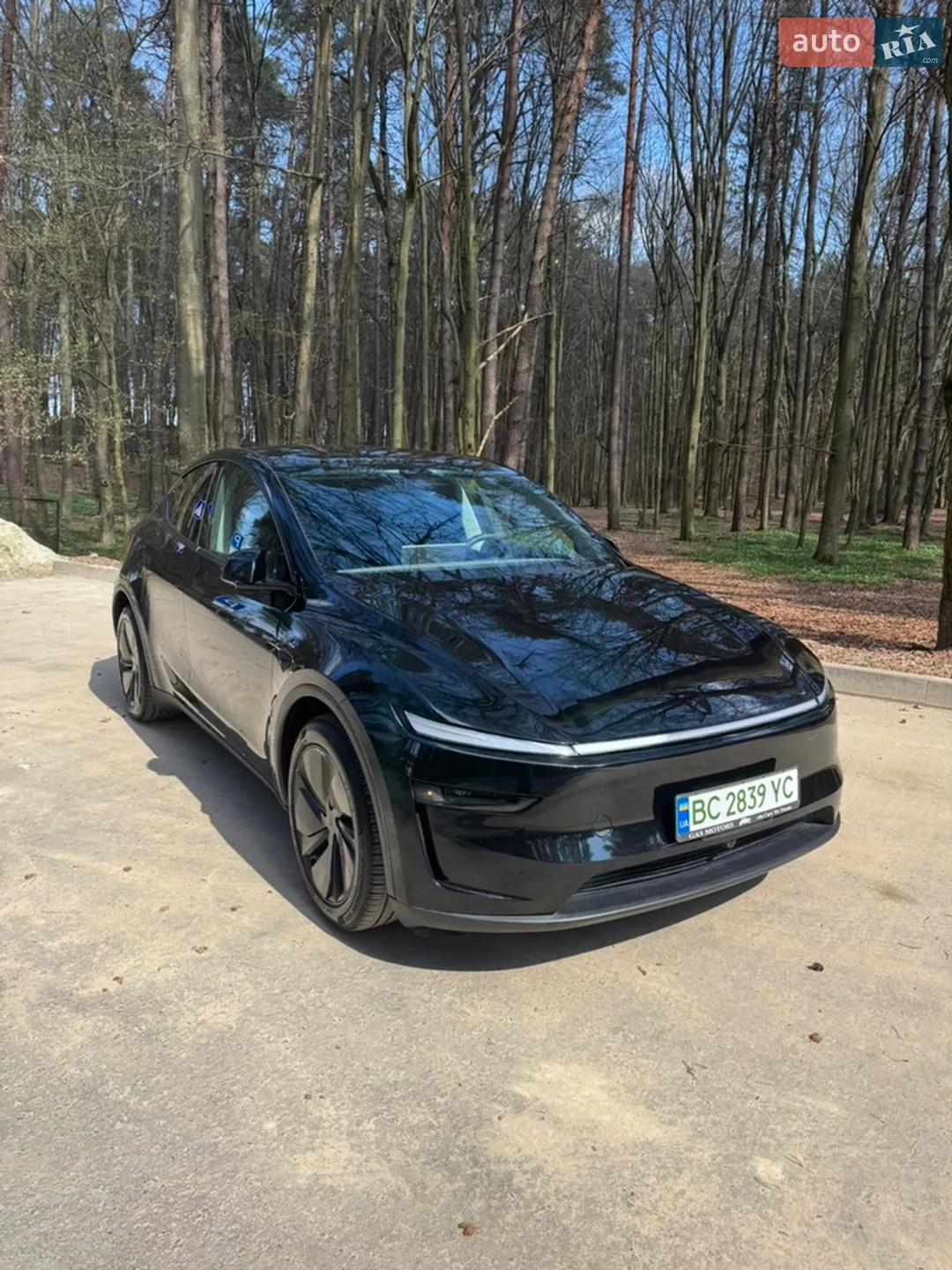 2025 Tesla Model Y - мініатюра 10
