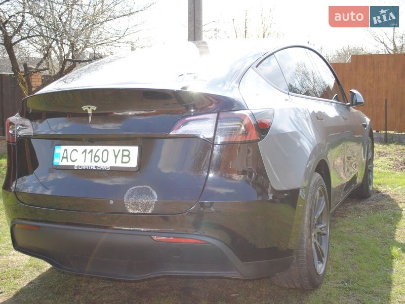 Позашляховик / Кросовер Tesla Model Y 2024 в Луцьку