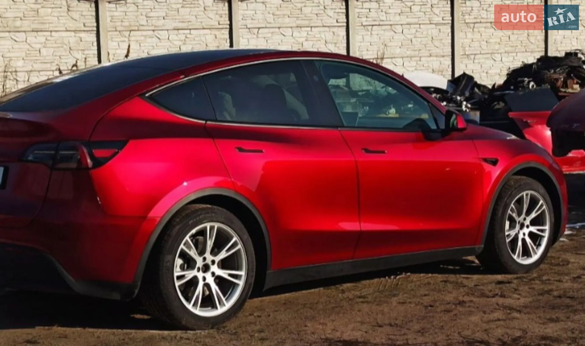 2023 Tesla Model Y - фото 1